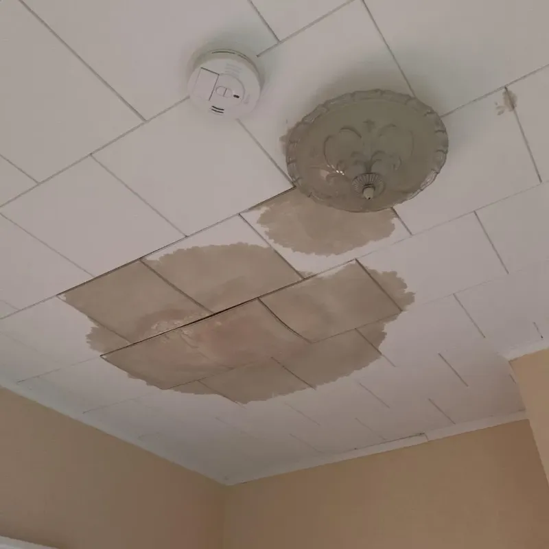 Ceiling Water Damage Repair in Village Shires, PA
