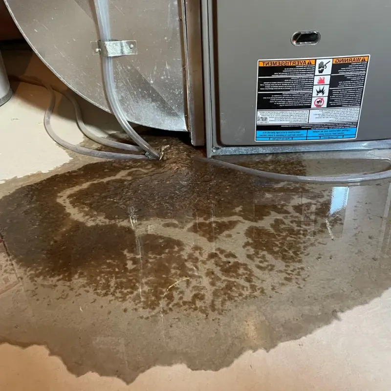 Pipe Burst and Leak Restoration in Village Shires, PA